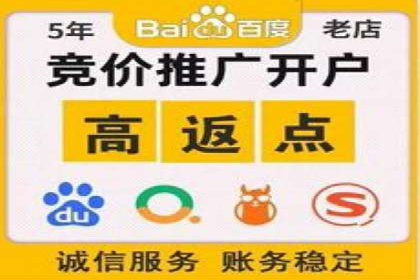 SEM竞价优化实战：提升转化率案例分析